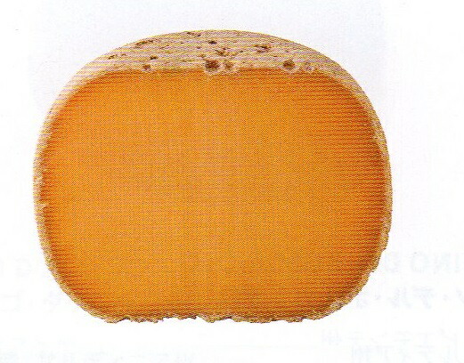 ミモレット２２ヶ月熟成　AOCチーズ　約500g　量り売り商品　21060円/ｋｇ　フランス産｜輸入食材マルシェ
