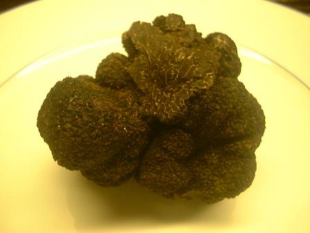 フレッシュ　黒（冬）トリュフ　オーストラリア・マンジマップ産　形の悪い物　約101ｇ～150ｇ　31320円/100ｇ　量り売り商品　毎週末入荷予定　8月くらいまで。