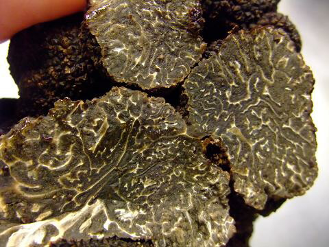 フレッシュ　黒（冬）トリュフ　オーストラリア・マンジマップ産　約100ｇ～150ｇ　34560円/100ｇ（税込み）　量り売り商品　毎週末発送予定　8月くらいまで。｜輸入食材マルシェ