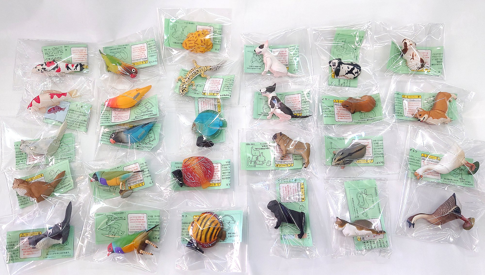 海洋堂　ペット動物コレクション第1弾全35種 Amazon.co.jp: フルタ Furuta/海洋堂 KAIYODO/チョコエッグ
