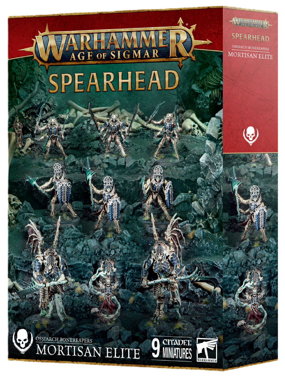 楽天市場】【2025年11月28日発売】【新品】バトルフォース：グルーム