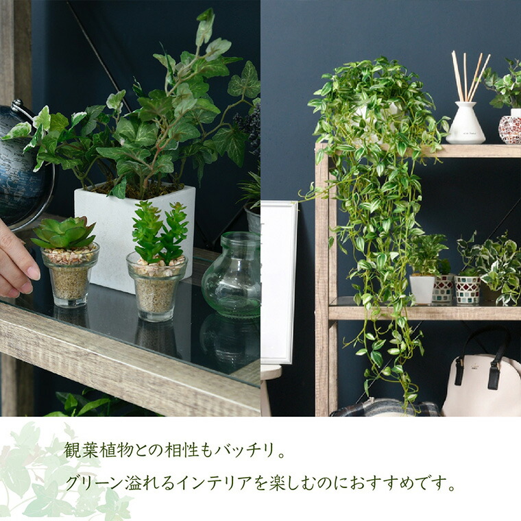 植物ラック ガラスラック 書棚 木目 ラックシェルフ 多目的 リビング収納 飾り棚 プランターラック プランター台 グリーンインテリア 本棚 ガーデニング ボタニカル ラック グリーンのある暮らし 新生活 シェルフ 棚 ガラスラック オープンラック ウッドラック ウッド