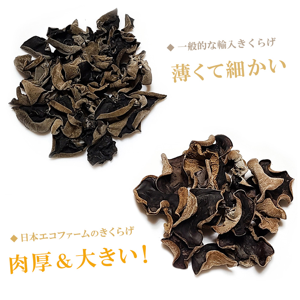 市場 国産 安全 日本国内の菌床栽培 きくらげ 安心 農薬不使用 茨城県産 30g 乾燥