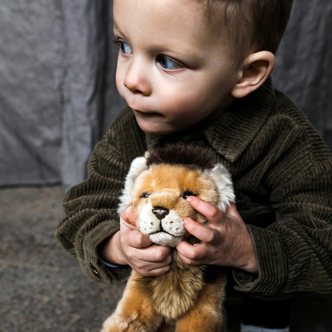 楽天市場】Jellycat ジェリーキャット Louie Lion ライオン ぬいぐるみ