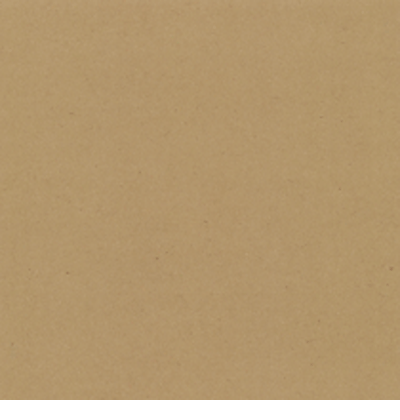 楽天市場】10インチレコードジャケット 紙製 両穴 クラフト茶 100枚