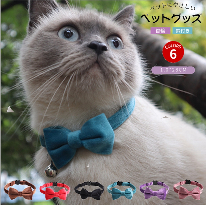 安売りえり付き首輪(レース生地 紺) 猫 セーフティバックル かわいい 猫用品
