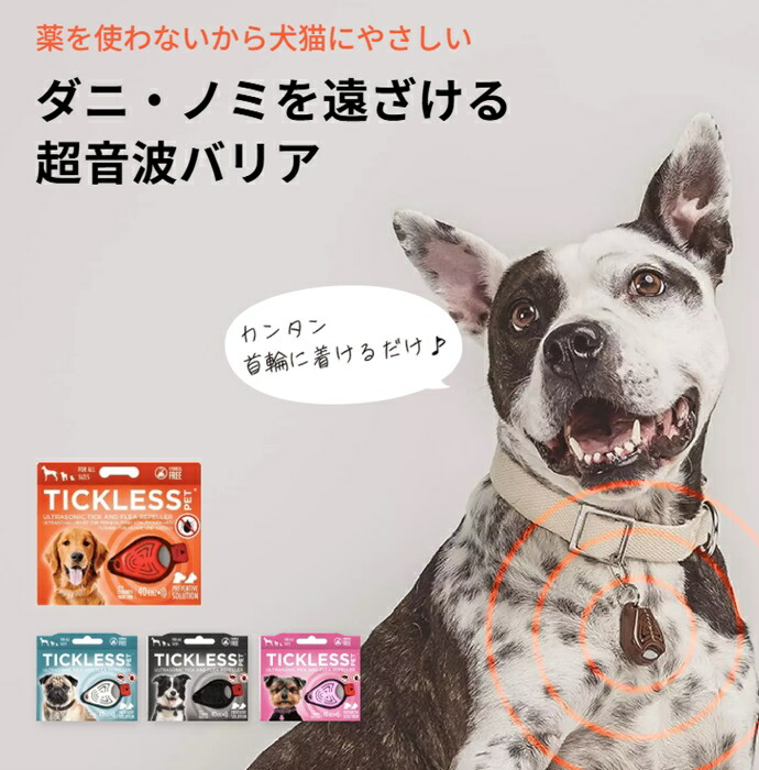 楽天市場】バランシーライフ シルバー ダニお出かけ 安全