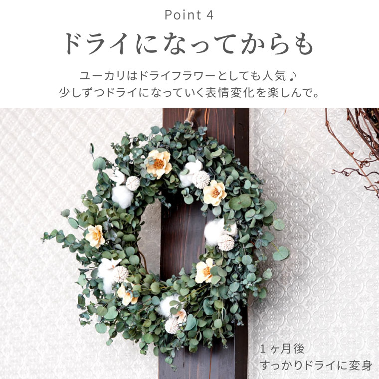 楽天市場 送料無料 ナチュラル クリスマスリース おしゃれ フレッシュ 玄関 ナチュラルリース ユーカリ リース 30cm クリスマス リース 冬 生 フレッシュリース 飾り 玄関飾り 北欧 誕生日 ギフト 贈り物 プレゼント 女性 誕生日プレゼント 生花 新築祝い 友人