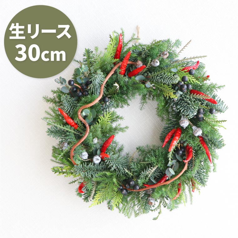 楽天市場】【11/22～順次お届け】 クリスマス スワッグ 玄関 飾り 『 モミ とグレビレアの クリスマススワッグ』 フレッシュ 生 クリスマスリース  大きい 生花 おしゃれ 北欧 ナチュラル クリスマス飾り 玄関飾り 屋外 手作り クリスマスプレゼント ギフト 女性 LED ...
