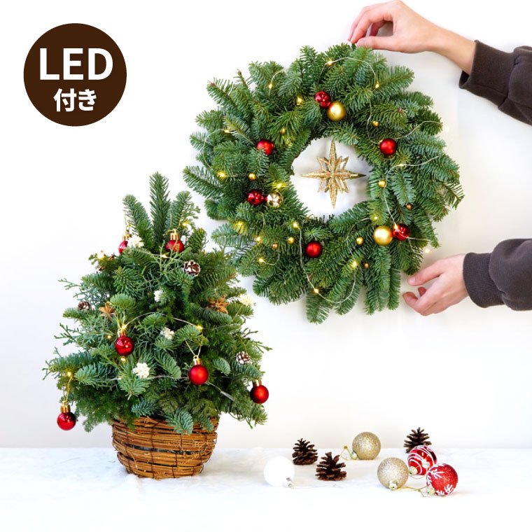 楽天市場 あす楽16時まで クリスマス リース フレッシュ クリスマスツリー 卓上 ミニ Led 生 リース と Led テーブル 生 ツリー の クリスマス セット ナチュラル 玄関 おしゃれ ミニツリー 生花 インテリア 北欧 冬 ギフト プレゼント 卓上ツリー ドアリース