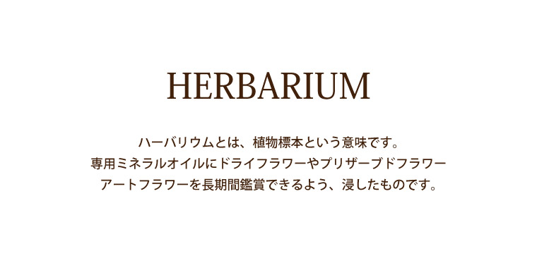 楽天市場 あす楽16時まで カーネーション ギフト ハーバリウム ミニ カーネーション のふわふわハーバ 花 プレゼント 誕生日 母 義母 誕生日プレゼント 母親 女性 記念日 お祝い 贈り物 還暦 古希 喜寿 結婚記念日 妻 退職祝い 21 即日発送 母の日 敬老の日