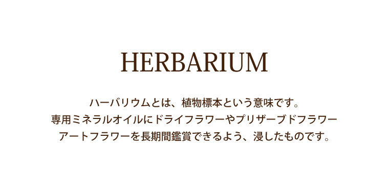 あした楽ちん16年月まで 創始者のディ おくり物 生れ出る日 差し上げ物 実用重心 男性 お全盛 タンブラー ひまわり ハーba ひとまとまり 父の日ギフト 嬶 賜物 花 誕生日プレゼント ステップマザー 父 60定価 40代 50代 てて親 還暦祭式 お祝い プリザーブドお花 造花 花