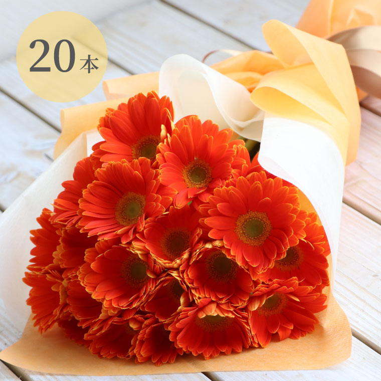 プレゼント 女性 誕生日 花 花言葉 希望 ガーベラ の 花束 本 誕生日プレゼント 女友達 ギフト 男性 父親 上司 母親 義母 花ギフト おしゃれ ブーケ 生花 フラワーギフト 結婚祝い 結婚記念日 妻 両親 送別品 送別会 就職祝い 定年退職 卒業祝い Web限定カラー