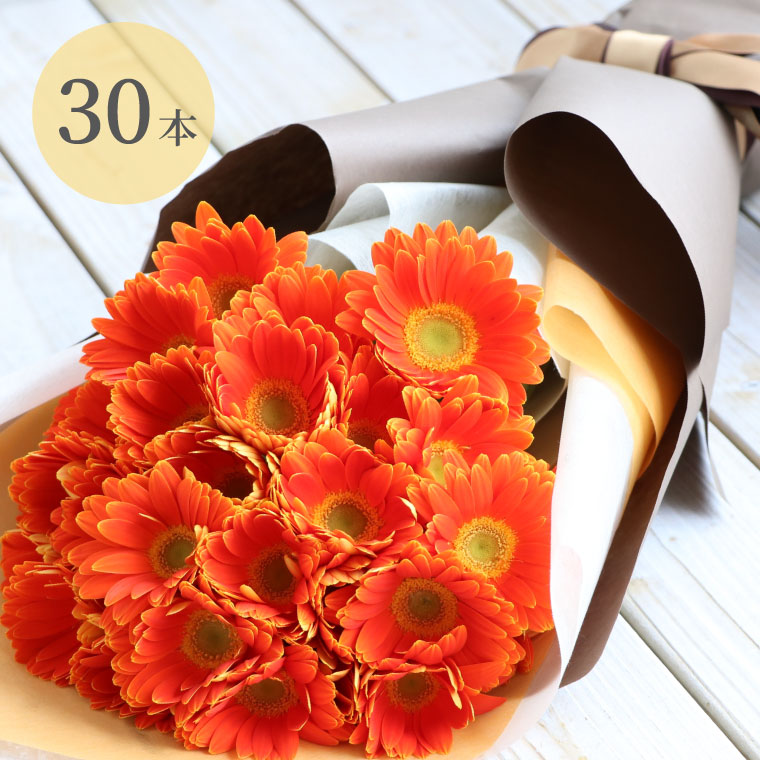 国産品 生花 50本 花束 ガーベラ 希望 花言葉 花 結婚祝い 7日前予約品 祖母 母 お祝いの品 喜寿 古希 還暦 おしゃれ 花束 ガーベラ ブーケ 女性 誕生日 プレゼント 退職祝い ギフト フラワー 卒業祝い 入学 生花 Basementsny Com