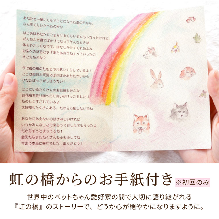 楽天市場 毎月届く お花の定期便 生花 供花 ペットちゃん 花 の 定期便 虹の橋 1年 12ヶ月 お供え 仏花 定期購入 贈り物 お供え花 犬 横浜 花まりか フラワーギフト店