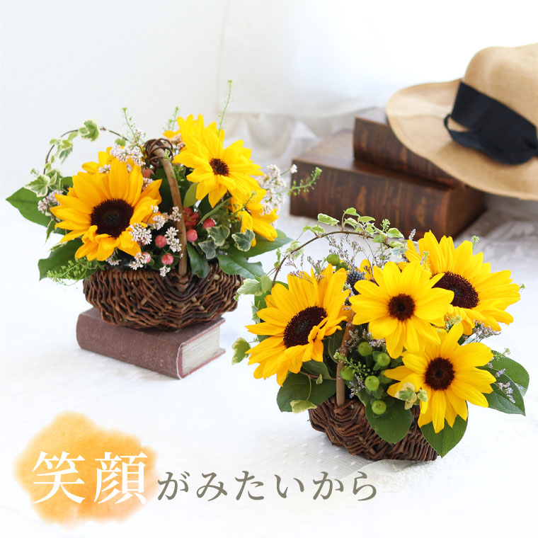 あす楽16時まで ヒマワリ 花束 アレンジメント 花 Sorriso ひまわり アレンジ Or ブーケ 夏の花 夏ギフト 誕生日プレゼント 女友達 ギフト 代 30代 父親 向日葵 友人 妻 女性 60代 50代 母親 新築祝い おしゃれ 夫 引っ越し祝い 保障 義母 両親
