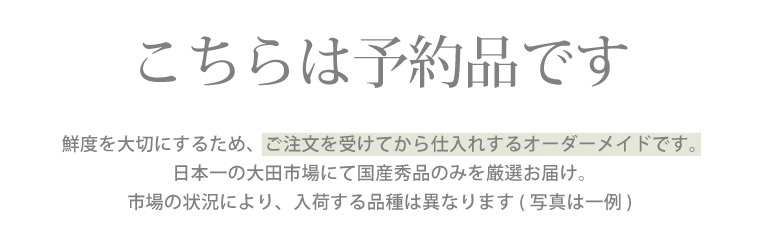 楽天市場 7日前予約品 喪中見舞い 花 お供え 生花 花束 白いチューリップ の 花束 10本 仏花 お悔やみ 贈り物 供花 花 喪中 お見舞い 命日 墓前 供養 月命日 法要 法事 献花 墓参り 葬儀 お供え花 四十九日 一周忌 枕花 お悔み