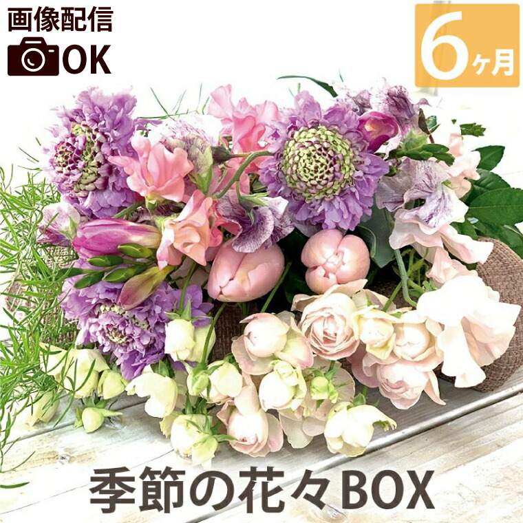 楽天市場】定期便 生花 【花々BOX Cコース6ヶ月（全6回）】 送料無料 ギフト お祝い 頒布会 お花の定期便 毎月届く 花束 毎月 届く 花 お花  : FLEGRE-3号店-