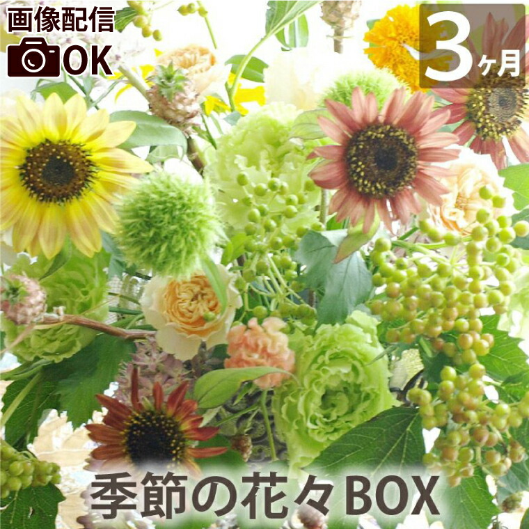 定期便 生花 【花々BOX Dコース3ヶ月（全3回）】 送料無料 ギフト お祝い 頒布会 お花の定期便 毎月届く 花束 毎月 届く 花 お花：FLEGRE-3号店-