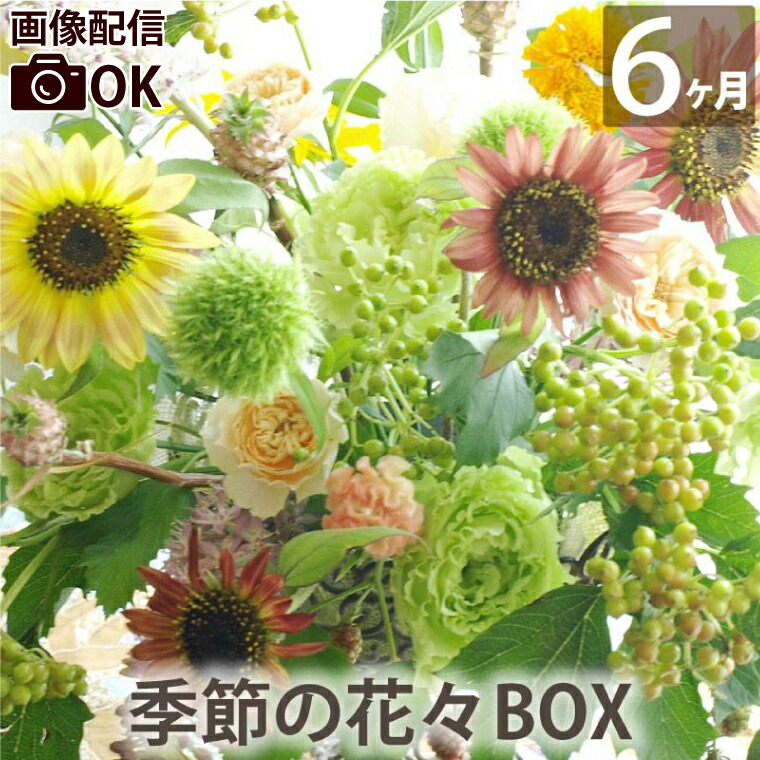 定期便 生花 【花々BOX Dコース6ヶ月（全6回）】 送料無料 ギフト お祝い 頒布会 お花の定期便 毎月届く 花束 毎月 届く 花 お花：FLEGRE-3号店-