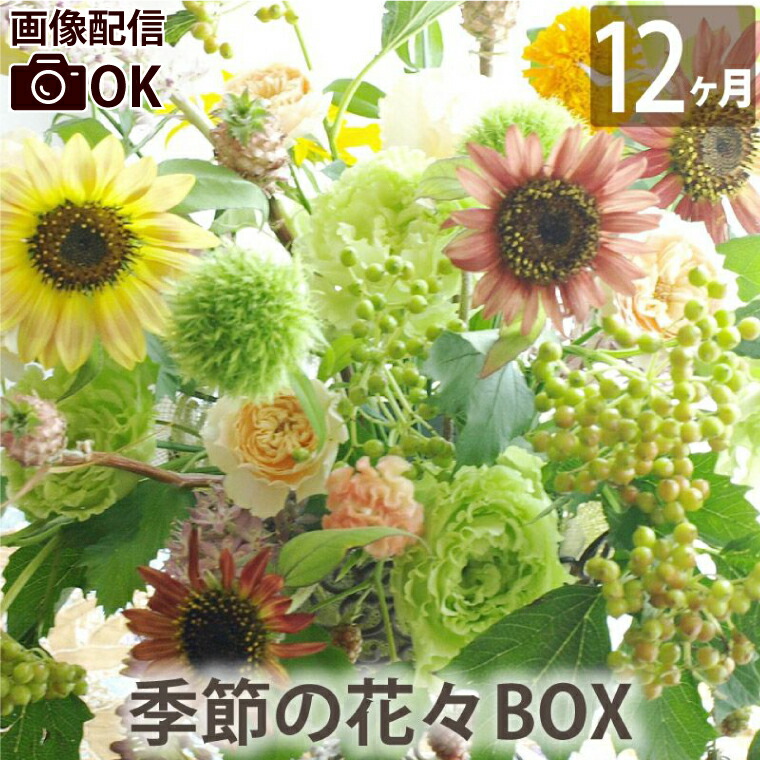 定期便 生花 【花々BOX Dコース12ヶ月（全12回）】 送料無料 ギフト お祝い 頒布会 お花の定期便 毎月届く 花束 毎月 届く 花 お花：FLEGRE-3号店-