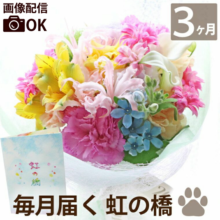 【楽天市場】毎月届く お花の定期便 生花 供花 『 ペットちゃん 花 の 定期便 【 虹の橋 1年 12ヶ月】』 お供え 仏花 定期購入 贈り物 お供え 花 犬 : FLEGRE-3号店-