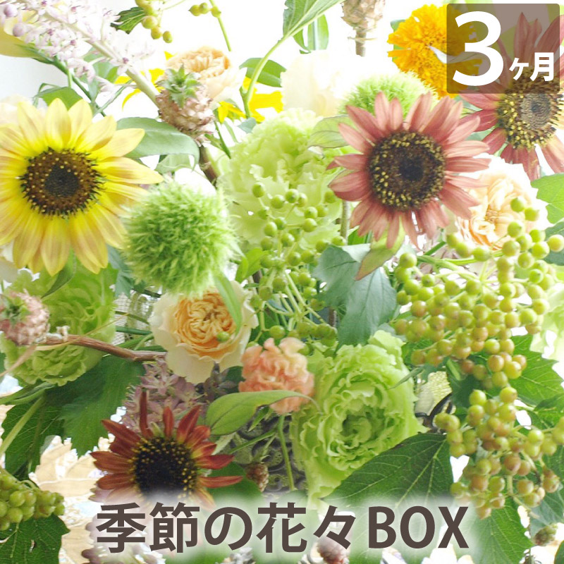 定期便 生花 【花々BOX Dコース3ヶ月（全3回）】 送料無料 ギフト お祝い 頒布会 お花の定期便 毎月届く 花束 毎月 届く 花 お花：横浜 花まりか フラワーギフト店