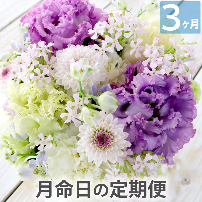 毎月お届け 生花 供花 『 花の 定期便 月命日 )』 お供え 定期購入 アレンジメント 花束 サブスクリプション