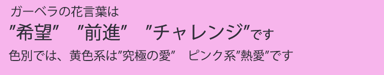 楽天市場 7日前予約品 花 ギフト 誕生日 花言葉 希望 ガーベラの花束10本 生花 フラワーギフト 生花アレンジ アレンジメント お祝い生花 結婚祝い お誕生日 お返し 記念日 父の日ギフト クリスマス 横浜 花まりか フラワーギフト店