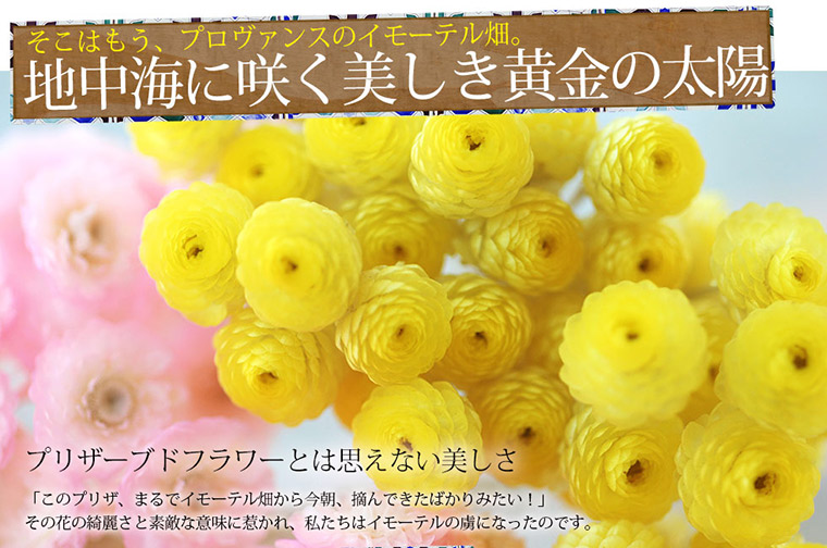 楽天市場 あす楽16時まで ペット お供え 花 お供えイモーテルリース プリザーブドフラワー お悔やみ 仏花 法事 法事のお返し 紫陽花リース ペットロス 犬 猫 うさぎ かわいい 供養花 御供え ペット 献花 ペット用 仏花 お悔やみ お花 犬 送料無料 あす楽 横浜