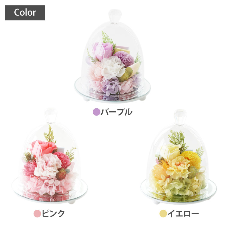 楽天市場 あす楽16時まで お盆 ペット お供え 花 犬 お悔やみ 贈り物 命日 虹の橋 ペットちゃんの お供え ドーム プリザーブドフラワー 仏花 ガラスドーム ミニ 造花 仏壇用 お悔み お花 ペット 供養 花 ギフト 新盆 お彼岸 法要 お供え物 即日発送