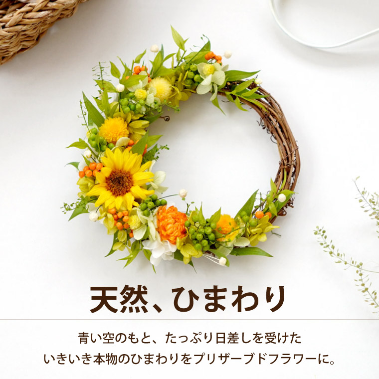 楽天市場 あす楽16時まで 花 リース 玄関 ひまわり リース S 夏ギフト プリザーブドフラワー 花 フラワーリース ドライフラワー おしゃれ 誕生日 プレゼント 女友達 ギフト アレンジ 壁掛け インテリア かわいい お花 引っ越し祝い 新築祝い 贈り物 ドア 退職