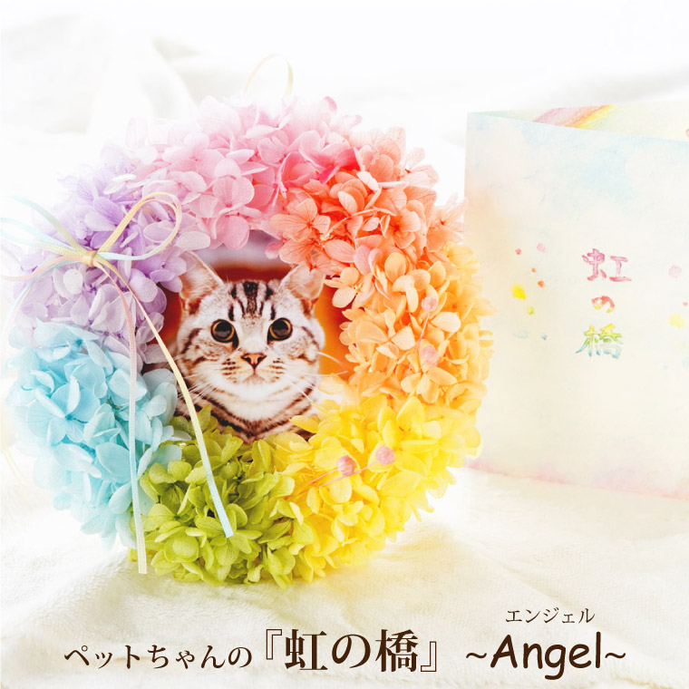 楽天市場 あす楽16時まで ペット お供え 贈り物 花 お悔やみ 犬 猫 虹の橋 リース Angel 仏花 プリザーブドフラワー 花 かわいい 供養花 献花 供花 お供え物 お悔やみの花 枯れない花 命日 法要 アレンジメント お供え花 仏壇用 四十九日 お彼岸 ペット供養