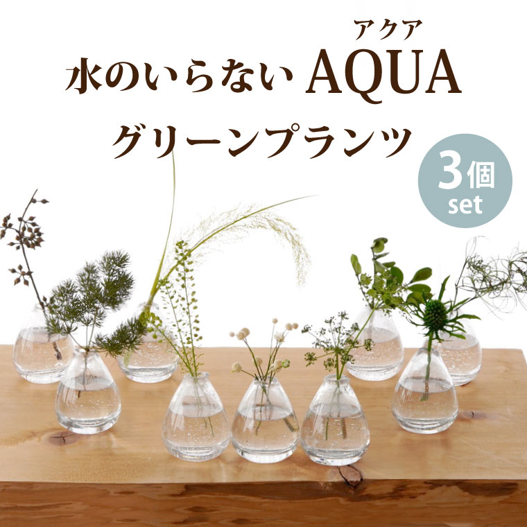 楽天市場 あす楽16時まで 観葉植物 ミニ おしゃれ 夏ギフト 水のいらないaqua グリーンプランツ 3個セット 新築祝い プレゼント 友人 引っ越し祝い プリザーブドフラワー ギフトセット 女友達 誕生日 ギフト インテリア 雑貨 卓上 小さい 贈り物 引越し 造花