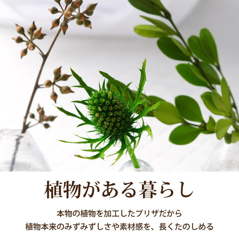 楽天市場 あす楽16時まで 観葉植物 ミニ おしゃれ 夏ギフト 水のいらないaqua グリーンプランツ 3個セット 新築祝い プレゼント 友人 引っ越し祝い プリザーブドフラワー ギフトセット 女友達 誕生日 ギフト インテリア 雑貨 卓上 小さい 贈り物 引越し 造花