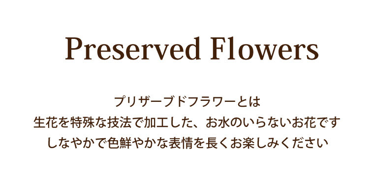 楽天市場 あす楽16時まで 観葉植物 ミニ おしゃれ 夏ギフト 水のいらないaqua グリーンプランツ 3個セット 新築祝い プレゼント 友人 引っ越し祝い プリザーブドフラワー ギフトセット 女友達 誕生日 ギフト インテリア 雑貨 卓上 小さい 贈り物 引越し 造花