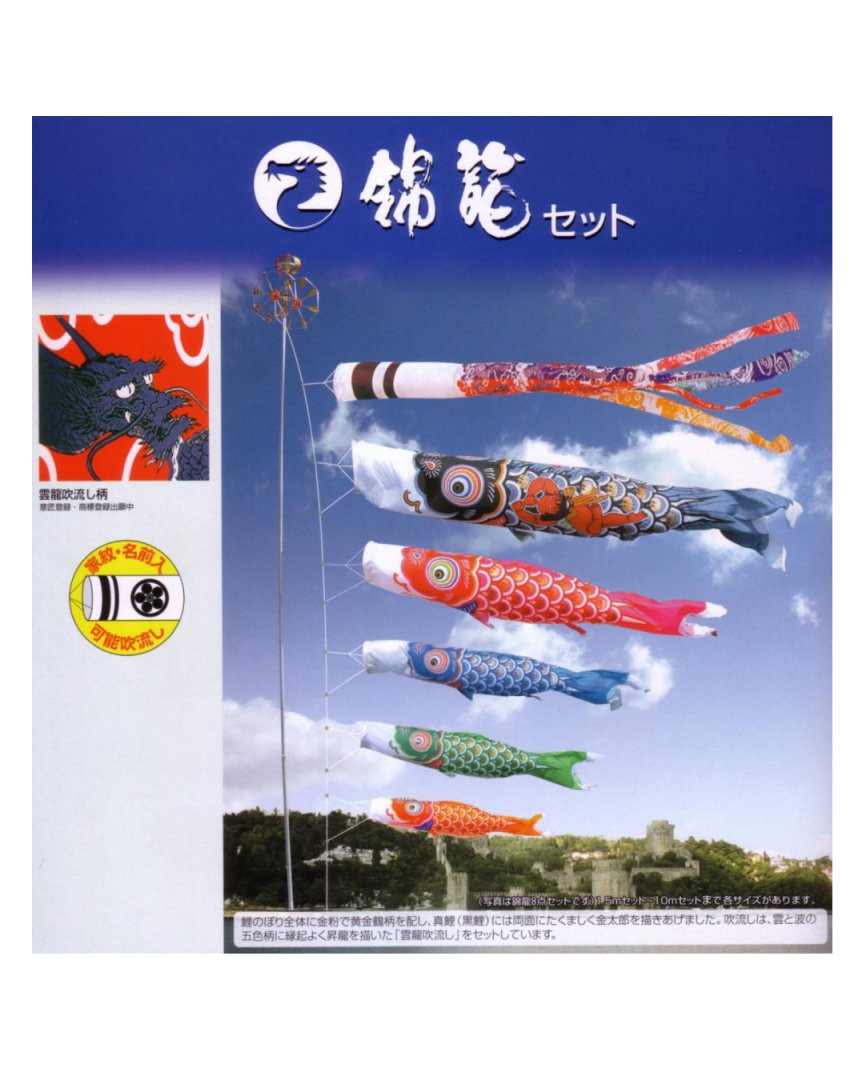 こいのぼり 21年レディースファッション福袋特集 9m6点セット 錦龍鯉 送料無料 徳永鯉のぼり Beachsidecliniccr Com