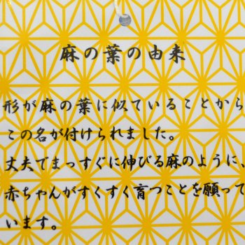 赤ちゃんの城