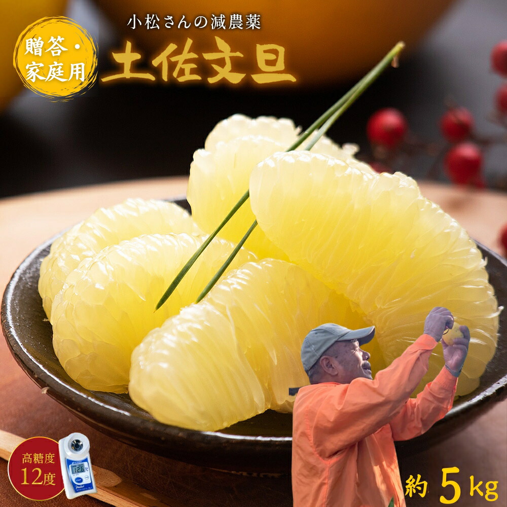 5L4Lサイズ　文旦　柑橘　王様　20kg 26 5L4Lサイズ 文旦 柑橘 王様 20kg 22 5L4Lサイズ 文旦 柑橘 王様 20kg 22