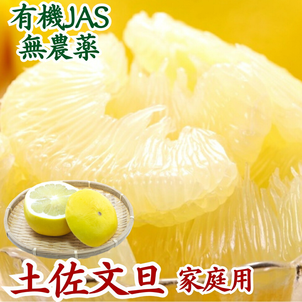 楽天市場】農薬を使用しない 土佐文旦 有機肥料 家庭用 訳あり 無農薬