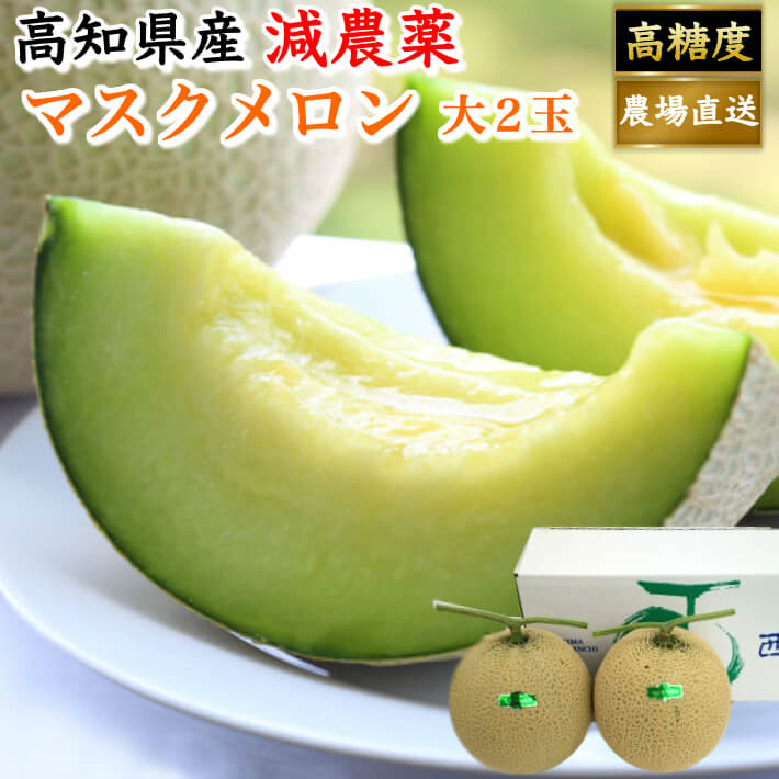 ギフト 高知県産 マスクメロン 土佐の楽園 大玉(約1,5ｋｇ×２) お取り寄せ ご家庭用 誕生日 プレゼント 高級 フルーツ 果物 送料無料