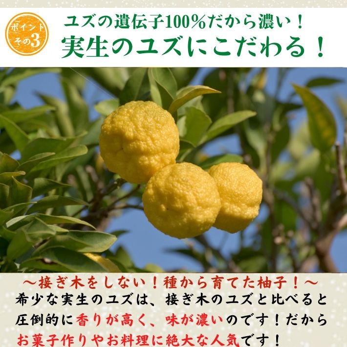 楽天市場 農薬を使用しない 実生 ゆず 有機栽培 無農薬 柚子 2kg 高知県産 お菓子作り お鍋 焼き魚 傷有 送料無料 土佐カツオとうなぎ通販 池澤鮮魚