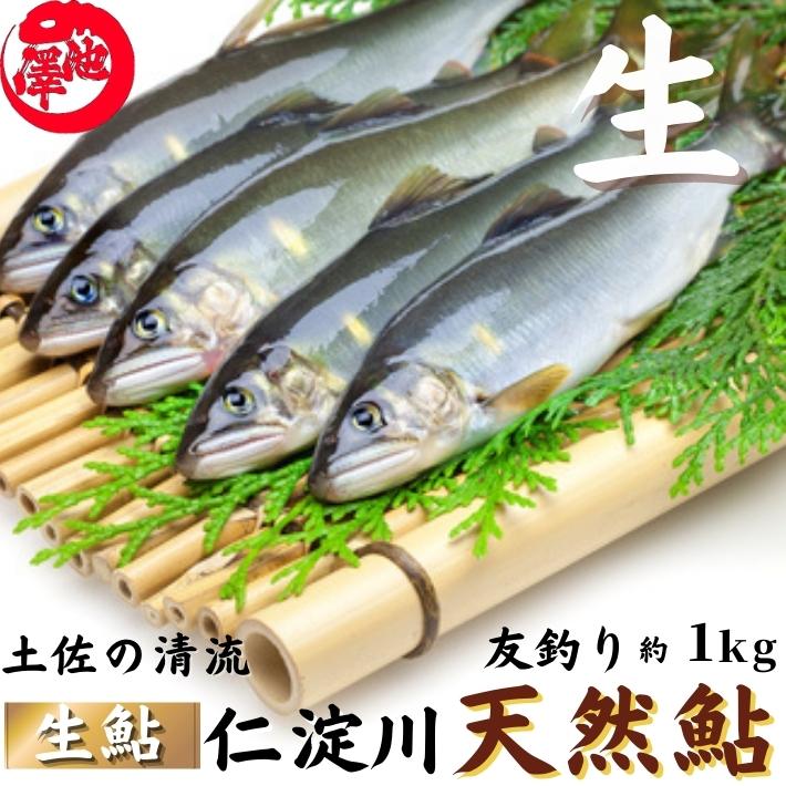 【楽天市場】＼10％OFFクーポンでお得！／ 鮎 特大鮎 仁淀川 極上 天然鮎 （500g 1kg）友釣り鮎 仁淀ブルーで育った天然鮎 高知県産  御歳暮 誕生日 プレゼント ギフト お祝い お取り寄せ お取り寄せグルメ 送料無料 最強配送 : 土佐カツオとうなぎ通販 池澤鮮魚