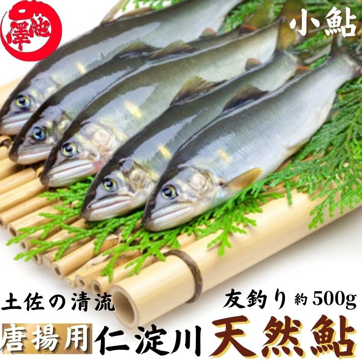 koayu500.jpg