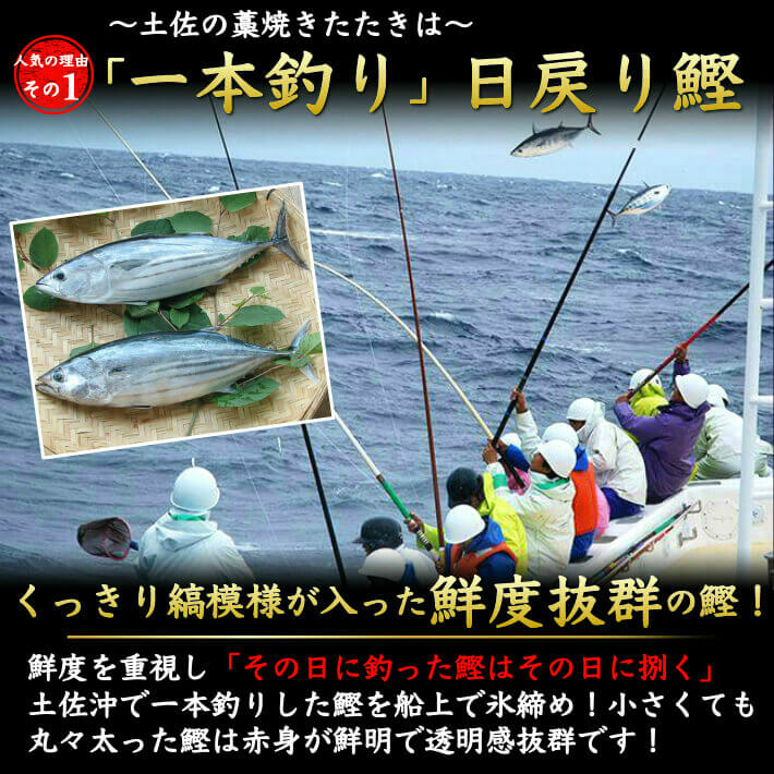 御父っつぁんの時代 初鰹 土佐沖 鰹と根からブリ 藁焼きたたき ウツボたたき 食べ比べ凝固 高知県産み タレ 粗塩幸せ 冷凍雁の文 お中元 お取り寄せ 配物 海鮮 贈る 生まれ落ちる日 貨物輸送無料 Acilemat Com 御父っつぁんの時代 初鰹 土佐沖 鰹と根からブリ 藁焼きたたき ウツボたたき 食べ比べ凝固 高知県産み タレ 粗塩幸せ 冷凍雁の文 お中元 お取り寄せ 配物 海鮮 贈る 生まれ落ちる日 貨物輸送無料 Acilemat Com