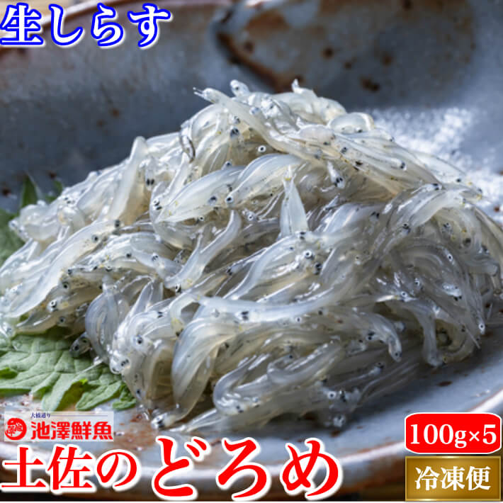 土佐のどろめ お刺身生しらす 100g 5パック 特製秘伝タレ付き 高知土佐湾獲れ 誕生日 送料無料 冷凍便 父の日 ギフト お祝い 酒の肴 海鮮 海産物 土佐湾で獲れたてを瞬間冷凍 地元でしか味わえなかったぷりっぷりの お刺身生しらす をご家庭で ちりめんじゃこ 同梱で