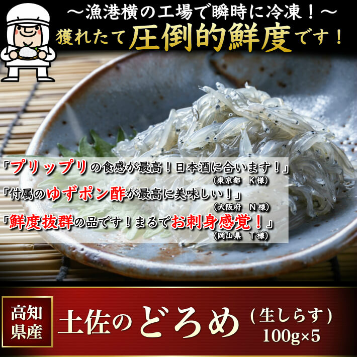 市場 土佐のどろめ 100g 2パック タレ ぬた付き お刺身生しらす 高知土佐湾獲れ 同梱用