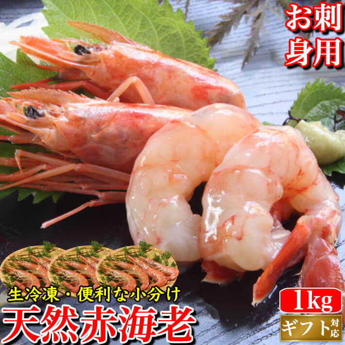 楽天市場】赤海老 天然 お刺身 赤エビ 超特大 2kg(約30-36尾) L1サイズ 生食用 小分け 生冷凍 海鮮 グルメ BBQ お取り寄せ ギフト  誕生日 プレゼント お徳用 送料無料 : 土佐カツオとうなぎ通販 池澤鮮魚