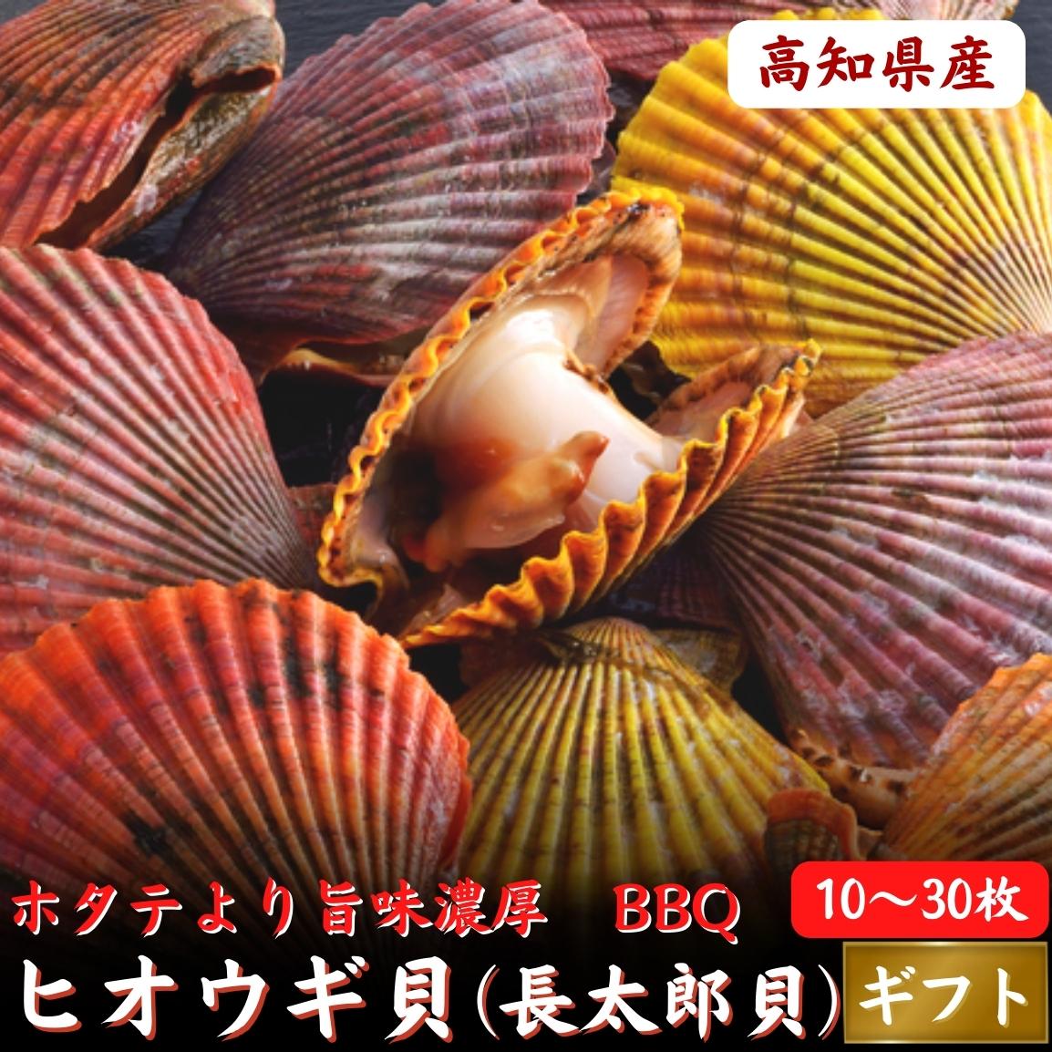楽天市場】鹿児島産 ひおうぎ貝 10枚 ヒオウギ貝 養殖 檜扇 産地