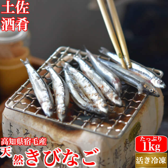 お得 のれそれ ノレソレ 100g 国産 生食用 急速冷凍 穴子 アナゴの稚魚 べらた ベラタ 珍味 土佐の酒肴 高知 つるっとした喉越し レプトケファレス幼生 Flyingjeep Jp